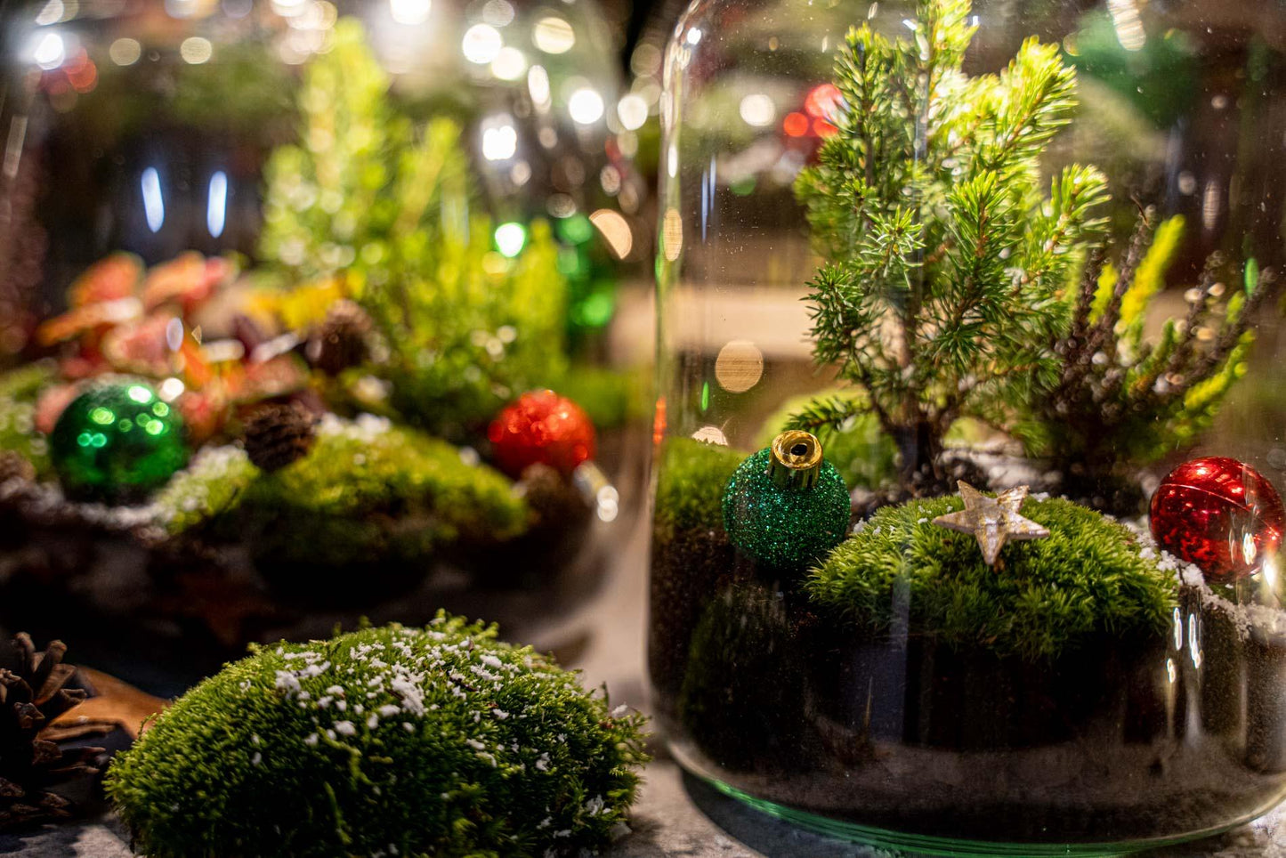 Tinsel Kerstmis terrarium - Planten terrarium  - DIY kit Christmas - Ø 19 cm ↑ 20 cm