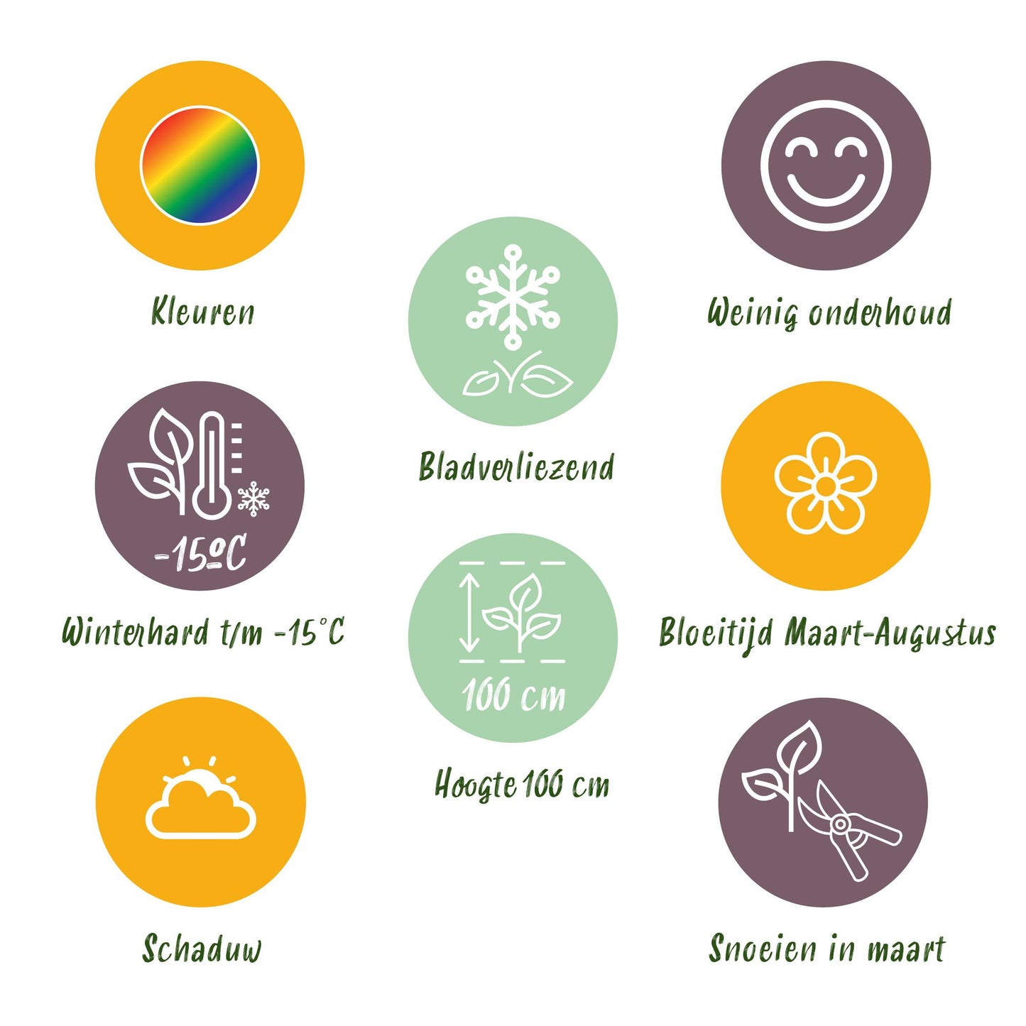 GreenboutiQ - Staudenpaket - Schatten - 24 Stauden - Für 3 m2 - Verschiedene Farben - Wenig Pflege - Topf 11cm