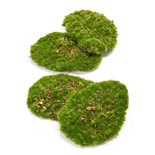 Mosplaat – Groen mos – Set van 4 – Kunstmos