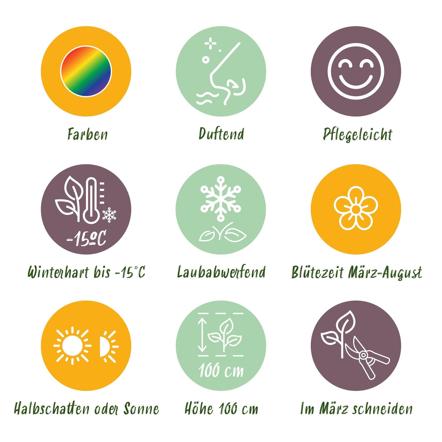 GreenboutiQ - Staudenpaket - Duftend - 24 Stauden - Für 3 m2 - Verschiedene Farben - Wenig Pflege - Topf 11cm