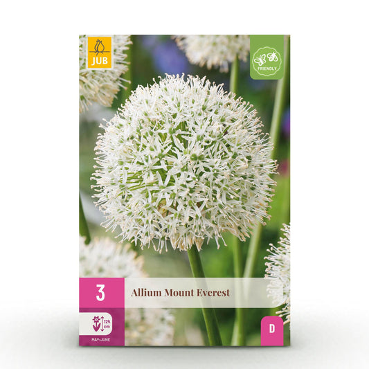 GreenboutiQ - Blumenzwiebeln - Allium Mount Everest - Bulbs Hardy Perennial - Farbe Weiß - 3 Stück - Zwiebelgröße 16/18 - XXL Pack