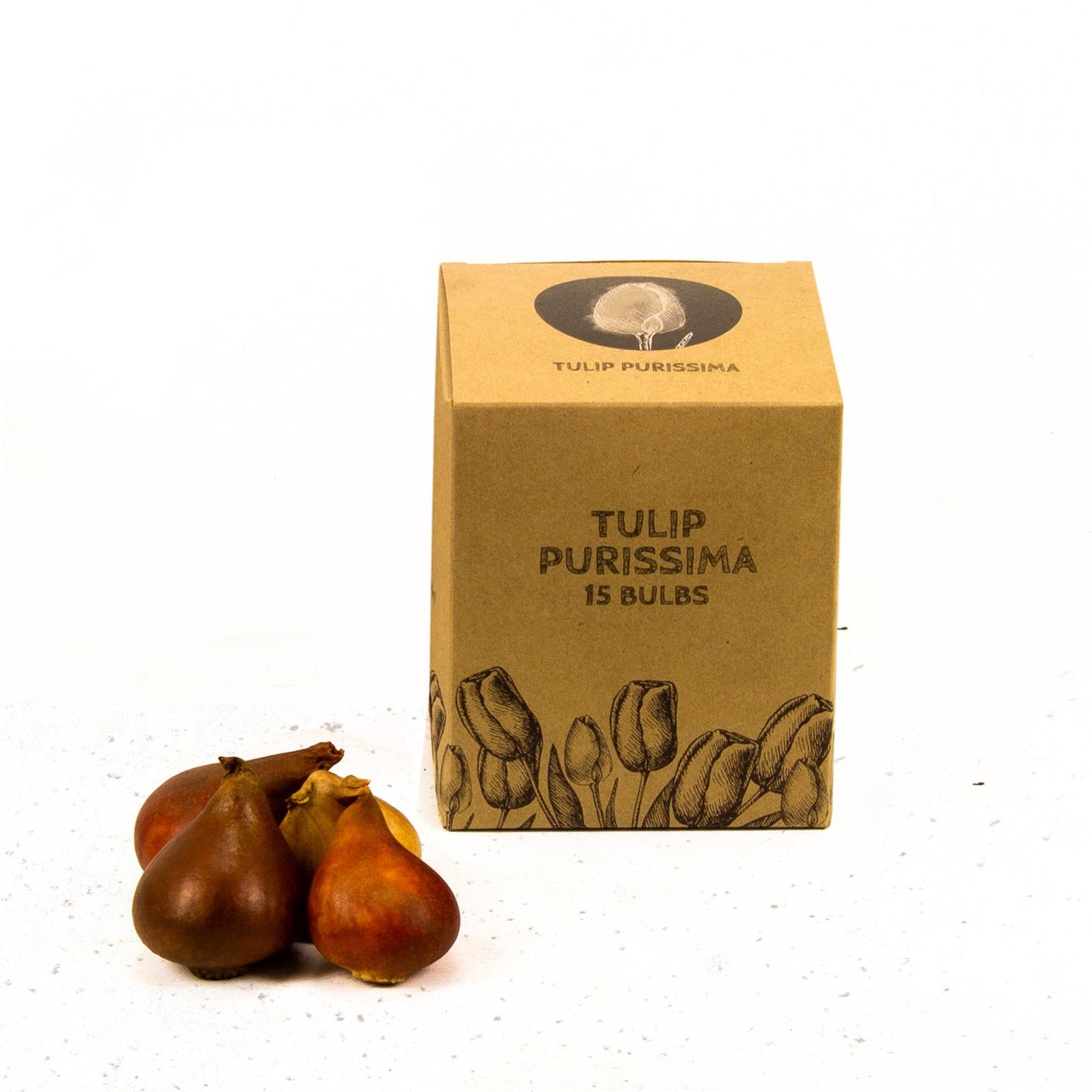 Flowerbulbs Amsterdam - Purissima - 15 Blumenzwiebeln - Gr��e 12+