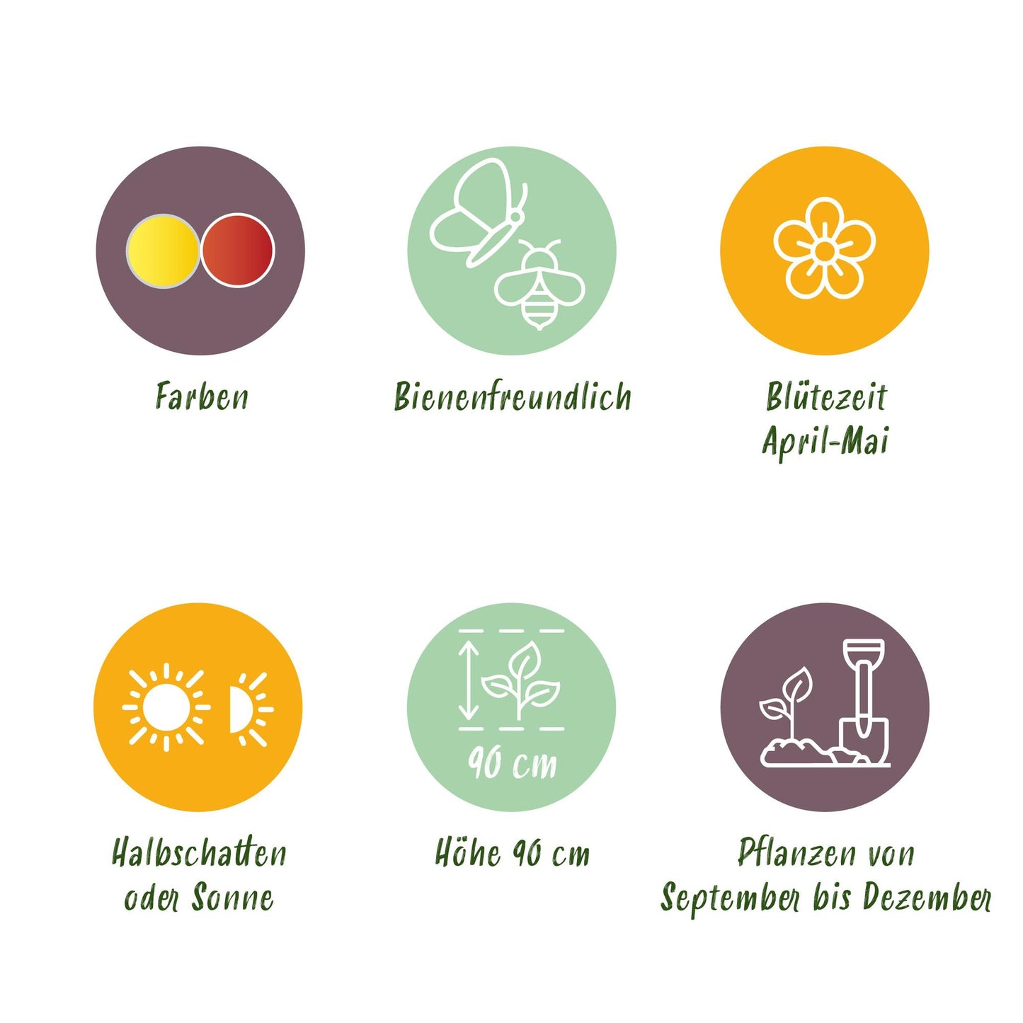 GreenboutiQ - Blumenzwiebeln - Fritillaria Imperialis Mix - Farbe Gelb und Orange - 3 Stück - Zwiebelgröße 18/20 - XXL Pack