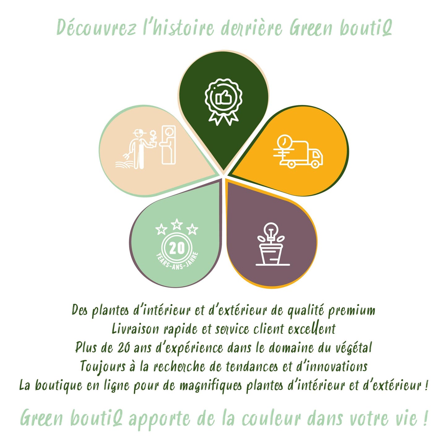 GreenboutiQ - Staudenpaket - Bienen- und Schmetterlingsanziehend - 8 Stauden - Für 1 m2 - Verschiedene Farben - Wenig Pflege - Topf 11cm