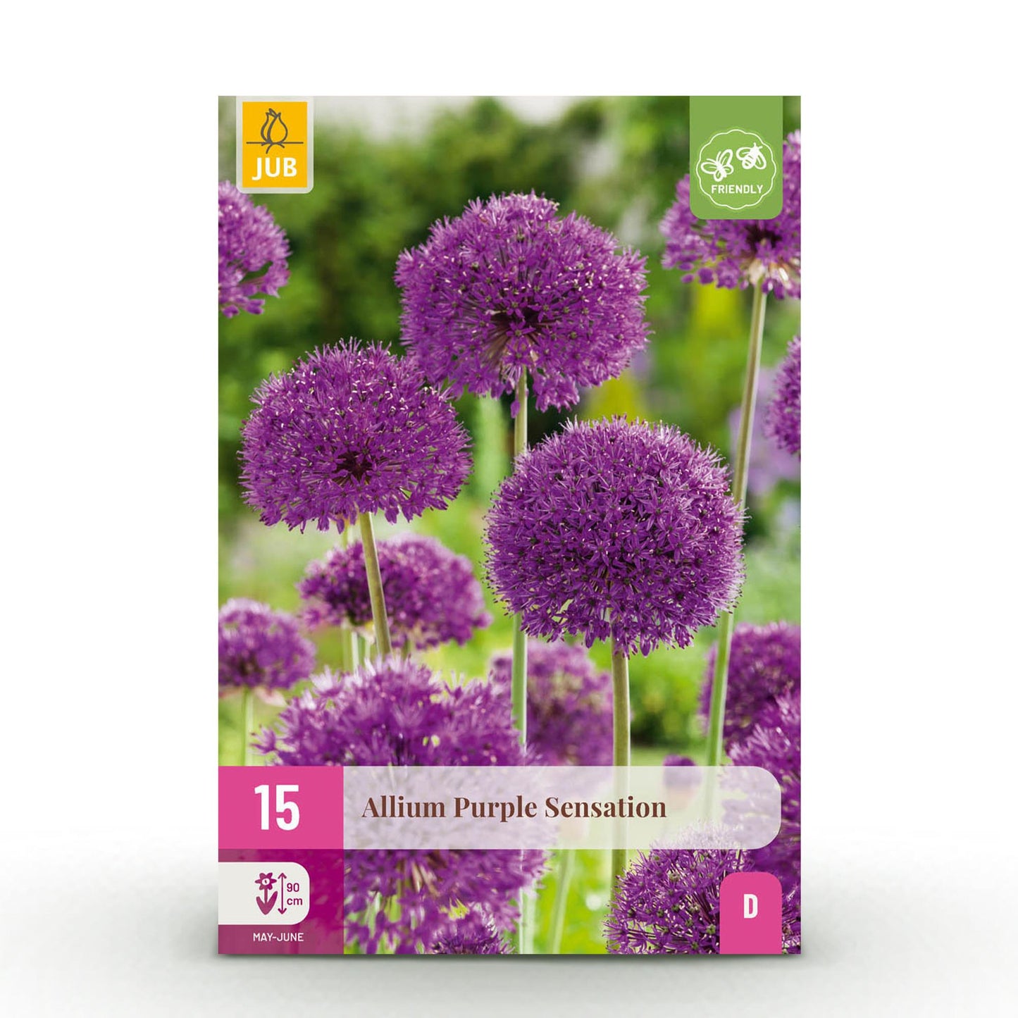 GreenboutiQ - Blumenzwiebeln - Allium Purple Sensation - Farbe Lila - 15 Stück - Zwiebelgröße 10/12 - XXL Pack