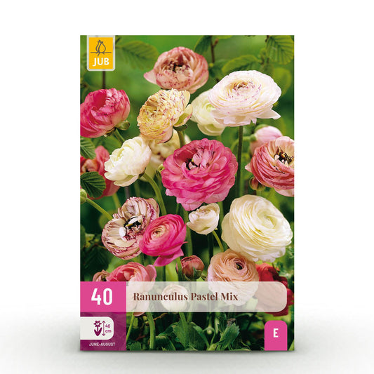 GreenboutiQ - Blumenzwiebeln - Ranunculus Pastel Mix - Verschiedene Farben - 40 Stück - Zwiebelgröße 5/6 - XXL Pack