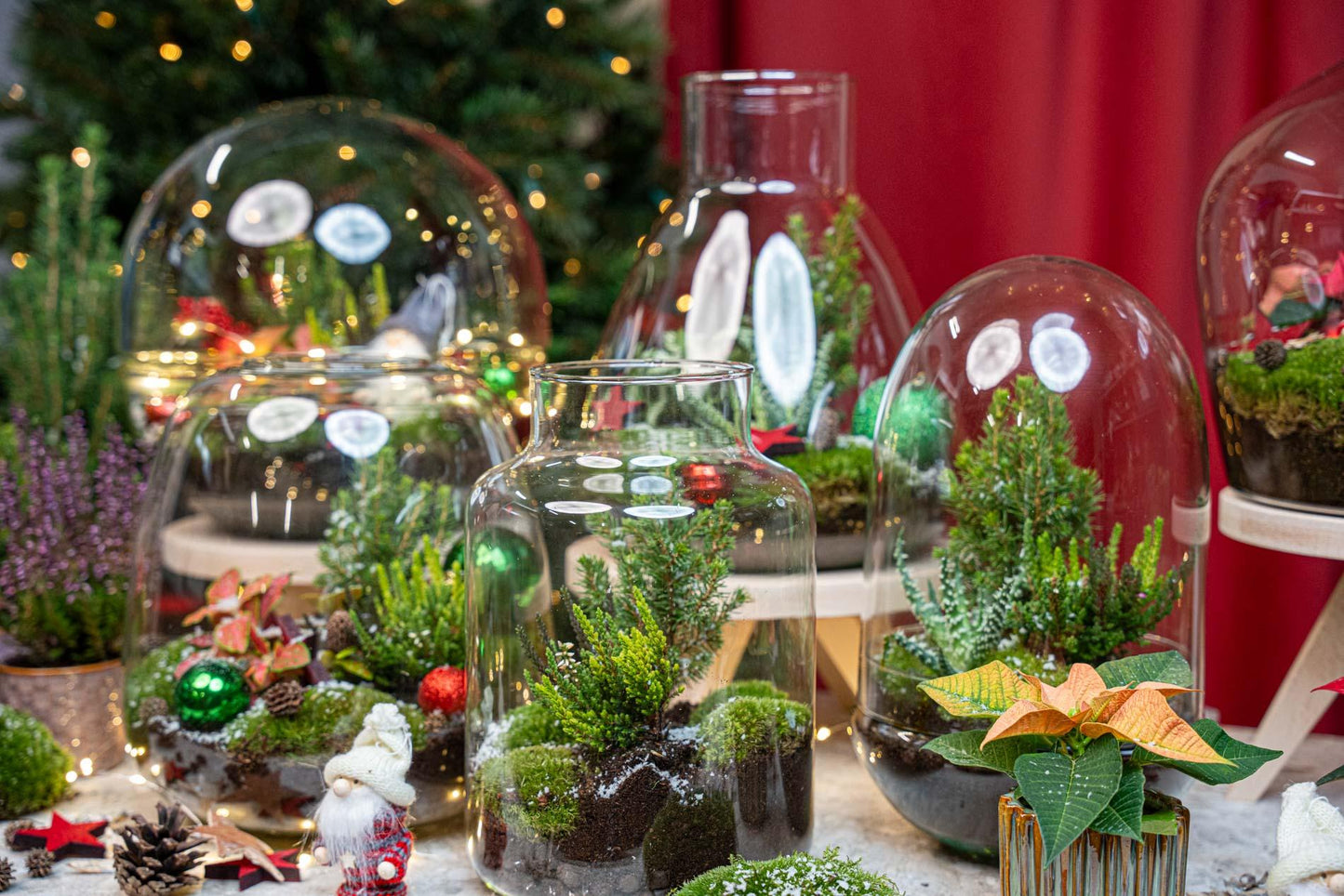 Tinsel Kerstmis terrarium - Planten terrarium  - DIY kit Christmas - Ø 19 cm ↑ 20 cm