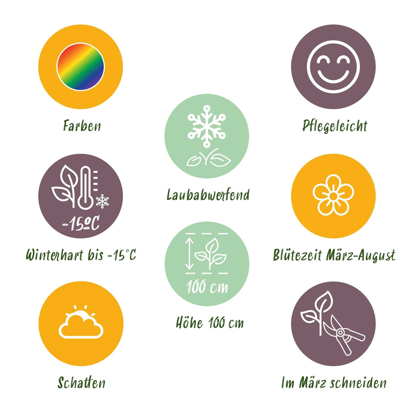 GreenboutiQ - Staudenpaket - Schatten - 24 Stauden - Für 3 m2 - Verschiedene Farben - Wenig Pflege - Topf 11cm