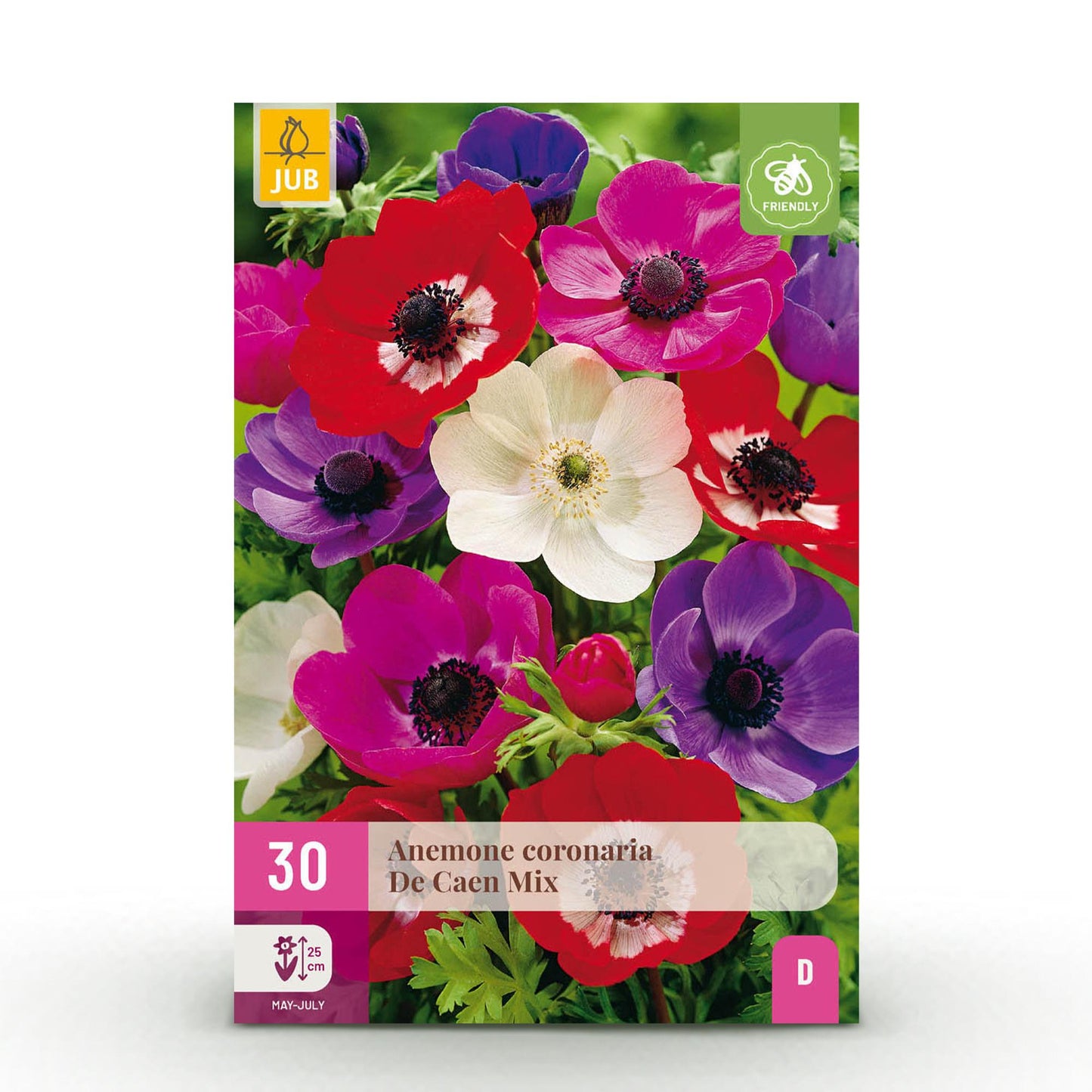 GreenboutiQ - Blumenzwiebeln - Anemone de Caen Mix - Verschiedene Farben - 30 Stück - Zwiebelgröße 5/6 - XXL Pack