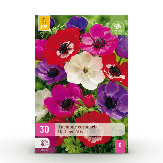 GreenboutiQ - Blumenzwiebeln - Anemone de Caen Mix - Verschiedene Farben - 30 Stück - Zwiebelgröße 5/6 - XXL Pack