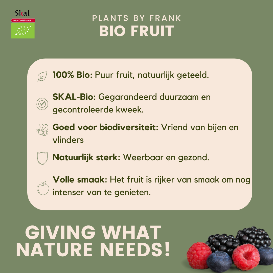 "Fruchtoase" BIO Obstpflanzen set im mix von 5 verschiedene Sorten