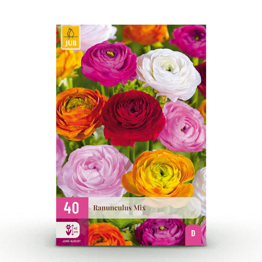 GreenboutiQ - Blumenzwiebeln - Ranunculus Mix - Verschiedene Farben - 40 Stück - Zwiebelgröße 5/6 - XXL Pack