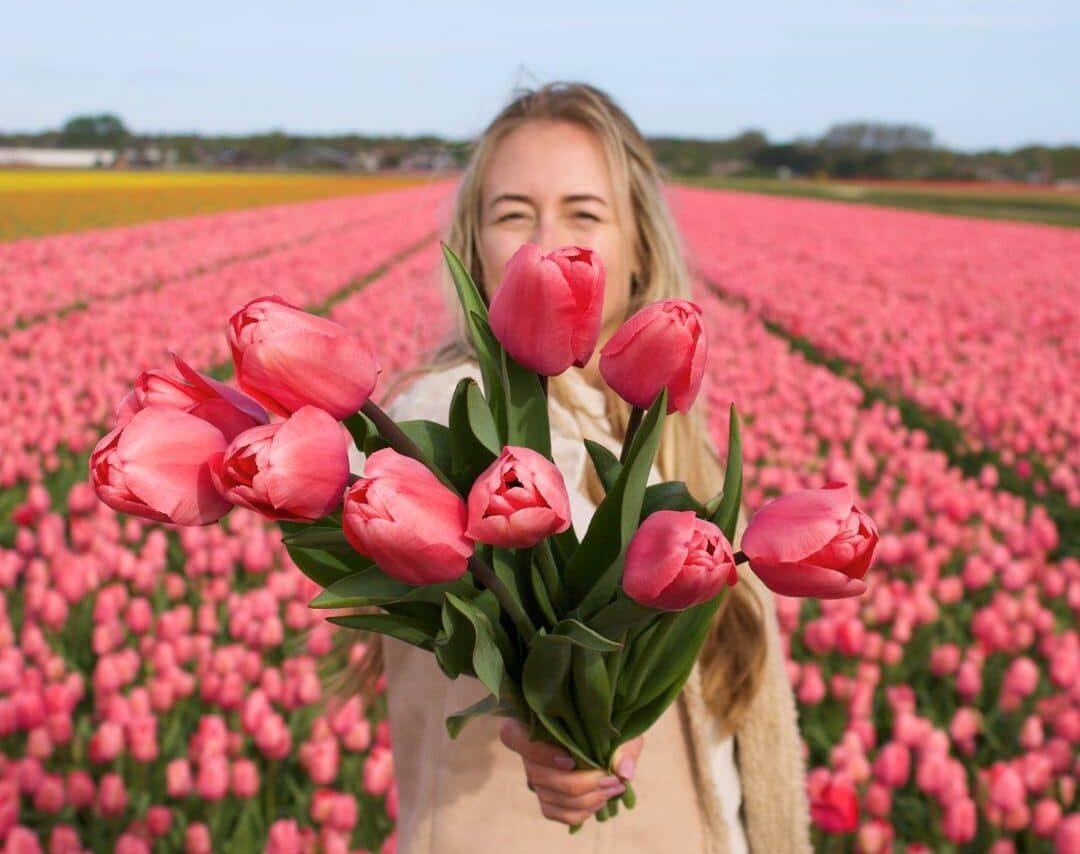 Flowerbulbs Amsterdam - Pink Impression - 15 Blumenzwiebeln - Gr��e 12+