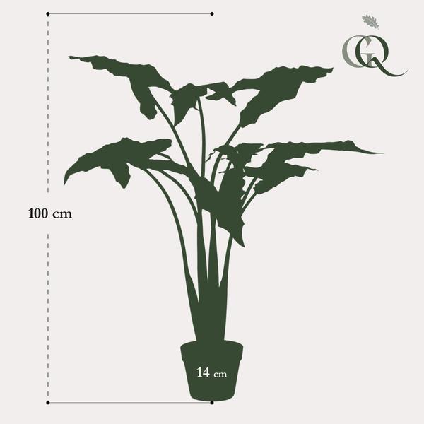 Kunstpflanze - Alocasia Frydek - 120 cm