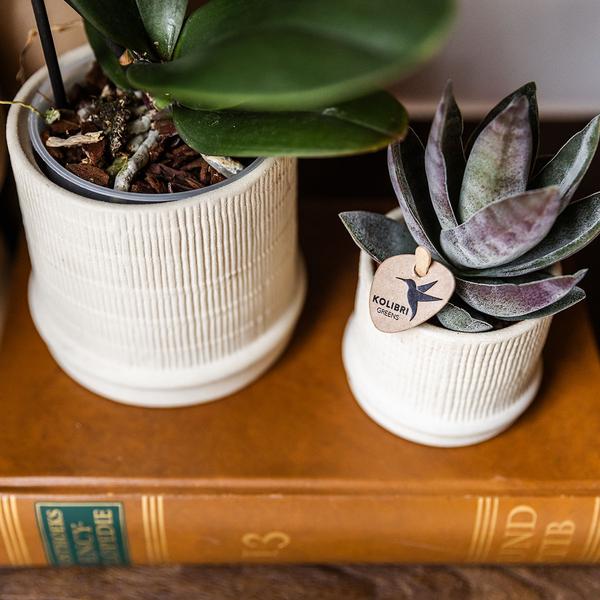 Kolibri Home | Bali Dekotopf - Off White - Ø9cm
