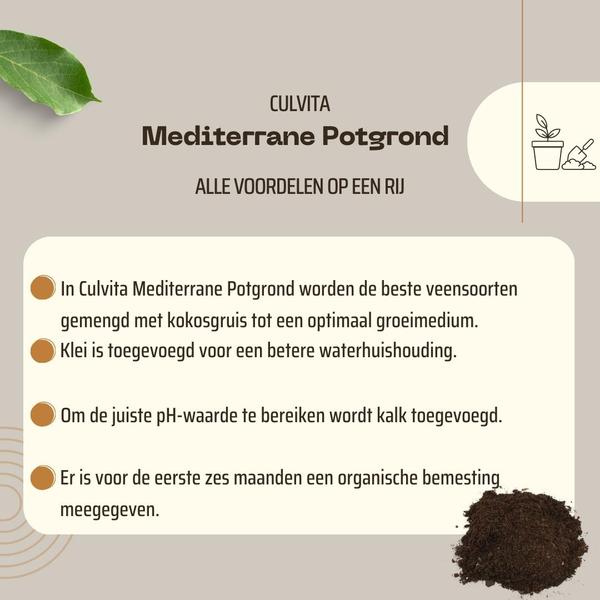 Culvita - Mediterrane Blumenerde 40 Liter inklusive RhizoPlus - Blumenerde für mediterrane Pflanzen u.a. geeignet für Olivenbäume, Zitruspflanzen und Palmen